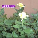 부만(주) - 양천구 | 부만(주)