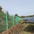 초원태양광발전소 이미지