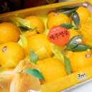 엘지농원 2 이미지