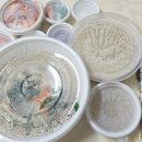 아름삼계탕 | 원주 평원동 40년 전통의 삼계탕 맛집 아름삼계탕에서 삼계탕과 죽 포장 후기