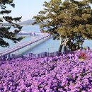 아스타축제 이미지