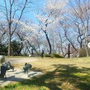 군산월명종합경기장실내체육관 이미지