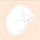 그림동화 만세 | 행복의 아이콘, 타샤 튜더의 삶 / 롯데뮤지엄 관람후기