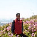 오경섭 이미지