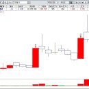 일성트레이딩 이미지