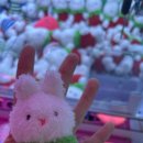 가현뽑기뽑기 이미지