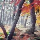 삼능