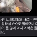 백슬동물병원