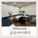 금손아이뷰티 | 분평동속눈썹펌 금손아이뷰티 만족후기!