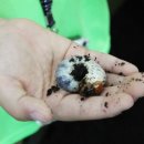 양평곤충박물관 이미지