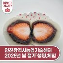 농업기술센터(1층) | 인천광역시농업기술센터 2025년 봄 절기「청명」체험