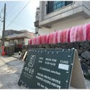 제주삼춘 네이버블로그