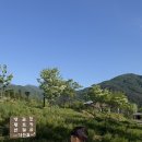 마하생태관광단지 | 함양 살아보기 6편 함양 생태체험단지 방문 후기