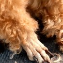 견생스타일 이미지