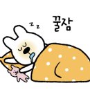 솔뷰티 - 음성군 대화1길 44-24 | 솔뷰티
