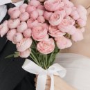 꽃집;닮 | 메이크업이 아쉬웠던 아이브IVE 스튜디오 촬영 후기(로브드k, 애브뉴준오, 베리굿웨딩, 소공예닮)