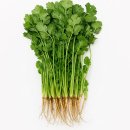 고수1로 이미지