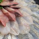 설화공원 | 포항영일대횟집 설화횟집에서 모듬회 먹고 온 후기, 모듬회 소자 구성까지