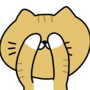 망고캣 이미지