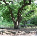 곰바위 앞 이미지