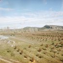 멍멍아 여기어때 이미지