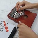 마호가니 이미지