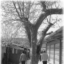 판교시장 이미지