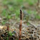 대천천1 이미지