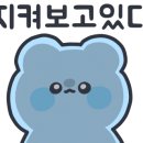 꿀벌 동물병원 네이버블로그