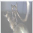 아이비학원 이미지