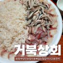 칠암거북 이미지