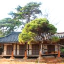 송종철 | 오인교의 전라도누정기행-무안 연방정(聯芳亭)