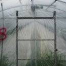 중열농장 이미지