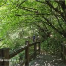 260802, 지리산 둘레길 트레킹 5코스(2) 이미지