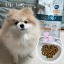 서하농장 | 수의사가 직접 만든 개사료 추천 더독앤캣 동결건조 코팅 콰트로 치킨 3kg