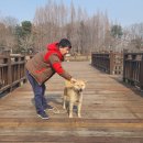 연화 스테이 이미지