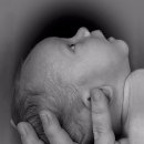 엘브레인 이미지