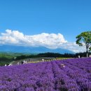 발리모텔 이미지