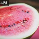 하얀고시텔 - 구로구 구로중앙로 24 | 하얀고시텔