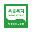 영춘양계 이미지