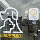 캣라운지 이미지