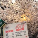 참치랜드 - 서초구 동산로2길 25 | 참치랜드