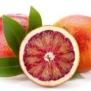 아로마테라피에스테틱 이미지