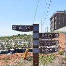 명성하한의원 | 2023.06.03. 버그내순례길 - 스마일님 공지