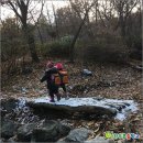 숲어린이집 이미지