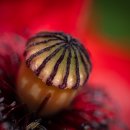 광화문검도관 이미지