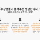 15초 따라 하기 말이 되는 일문법 (1) 이미지