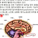 4 팔미환&amp;육군자탕 조회수 3.6천회 6년 전 이미지