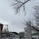 맑고 향기롭게 | 김천 부곡동 사우나 추천｜맑고향기롭게 스파&amp;사우나 4세 아이와 첫 목욕탕 후기