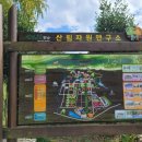 숲어울림치유연구소